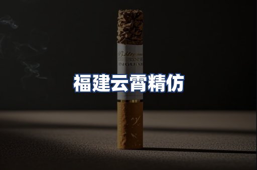 福建云霄精仿